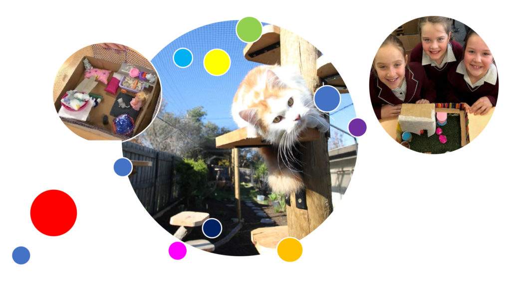 Children year 3 involved in edu.cat activities