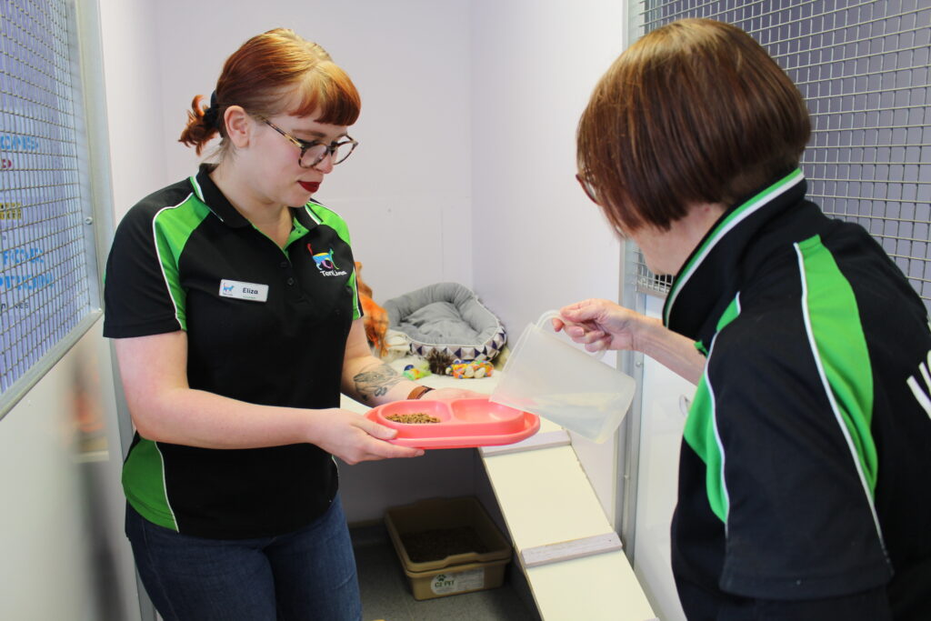 The current image has no alternative text. The file name is: IMG_1587-scaled.jpg