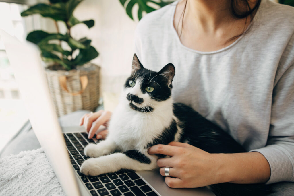 The current image has no alternative text. The file name is: AdobeStock_334812449-scaled.jpeg