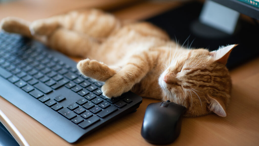 The current image has no alternative text. The file name is: AdobeStock_583068536-scaled.jpeg