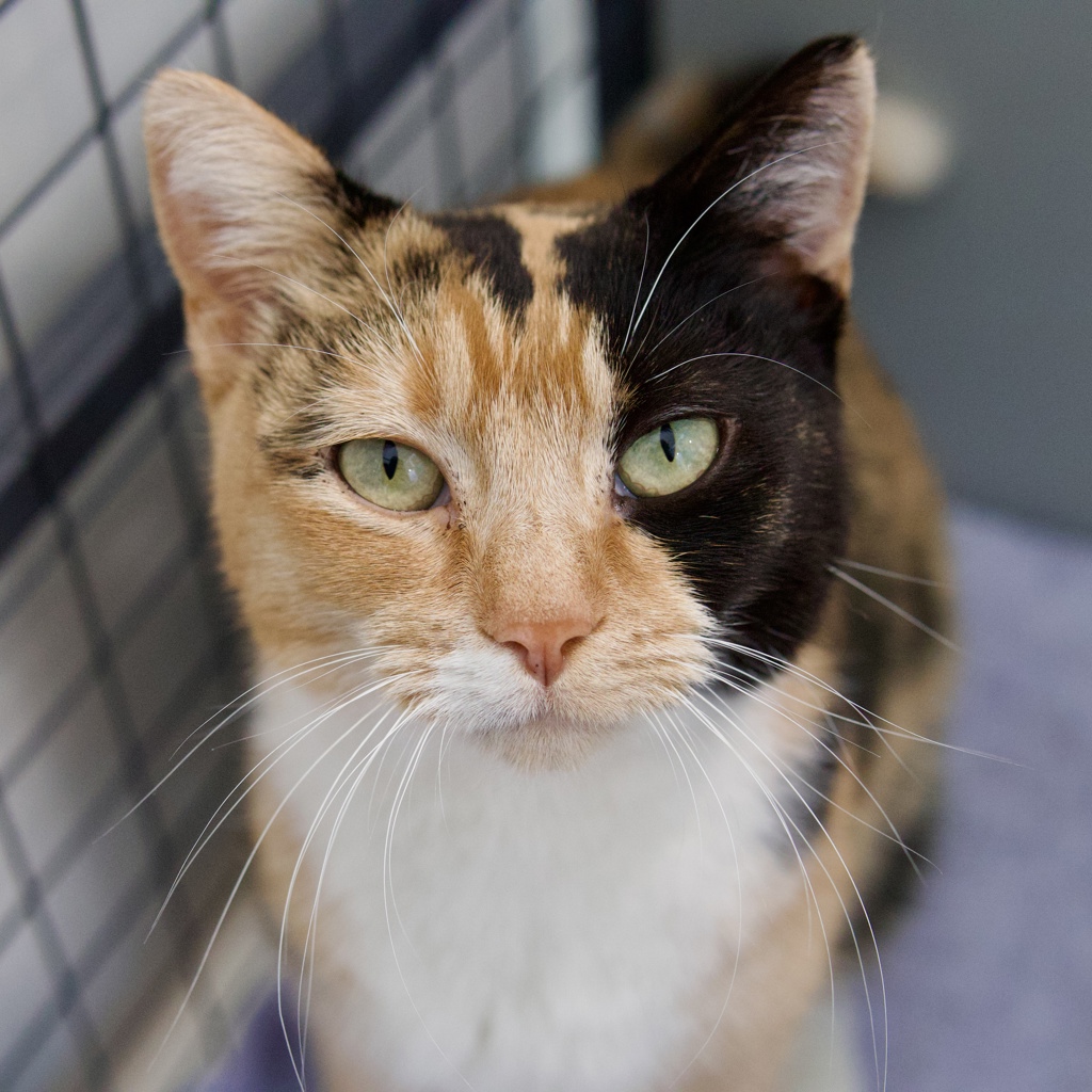 Photo of Millicent