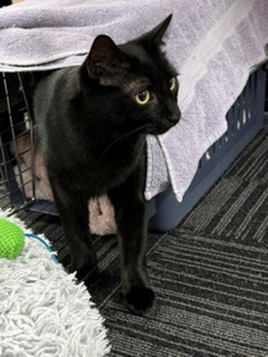 Photo of Milly