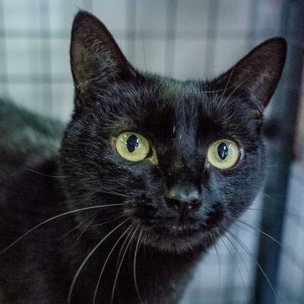 Milly, photo 6