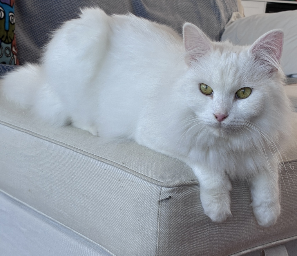 Frederick, photo 2