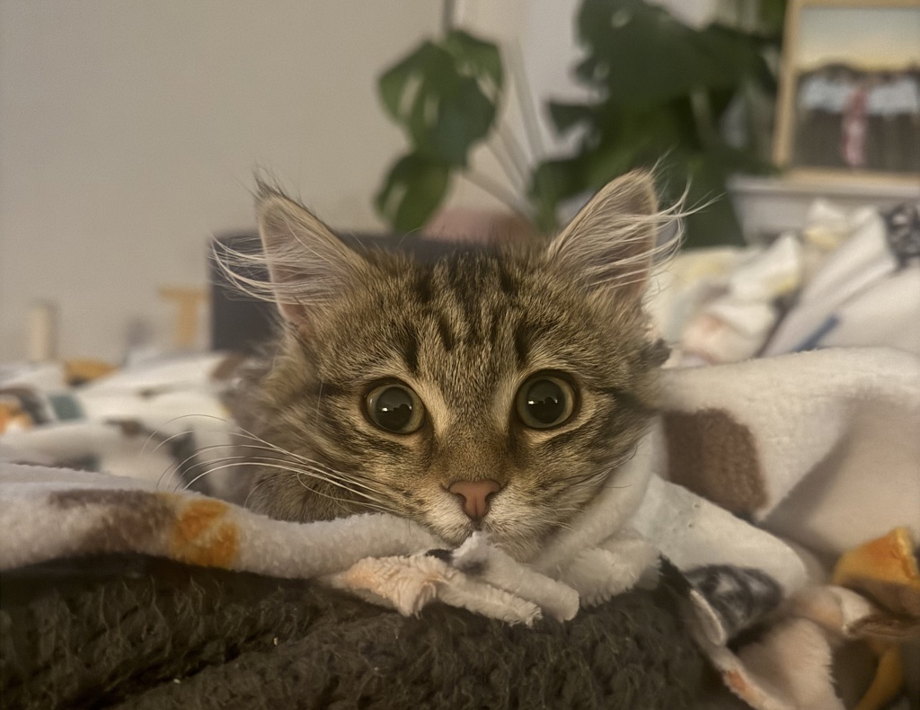Photo of Canyon 
