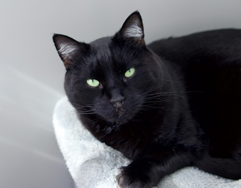 Photo of Cedric 