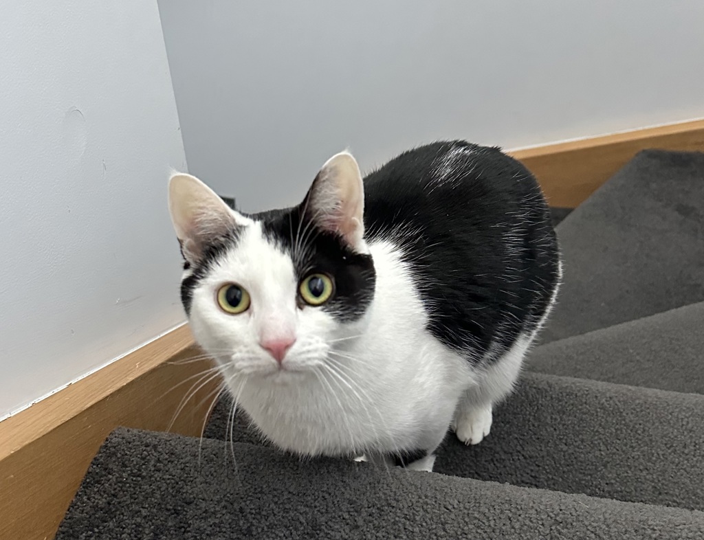 Photo of Victor