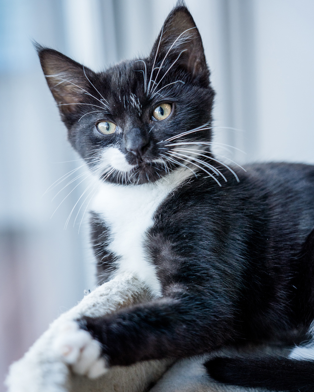Photo of Marble