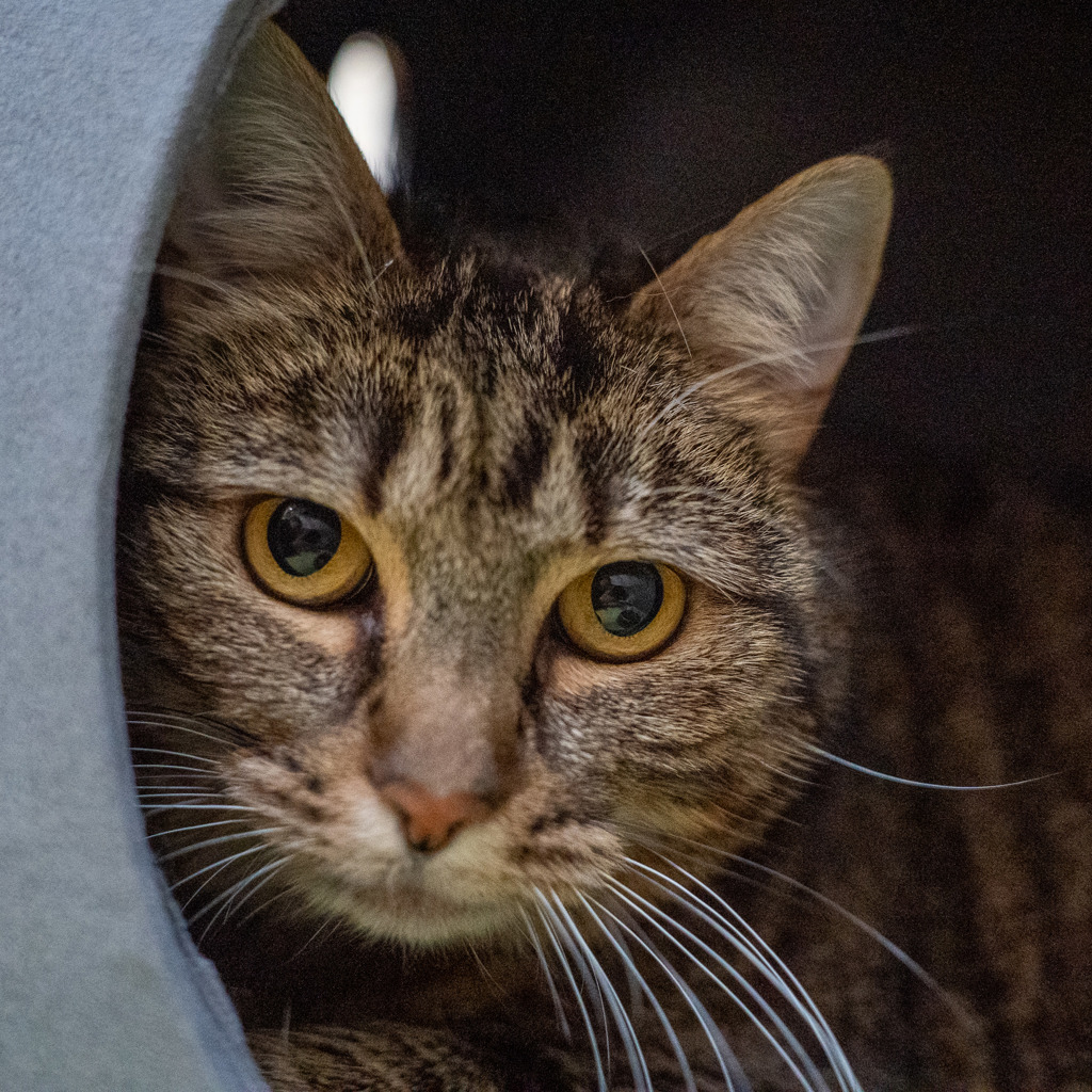 Photo of Mabel