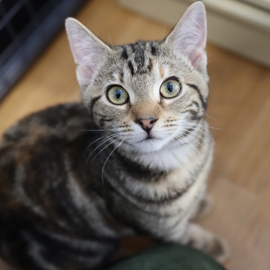 Photo of Jinxi