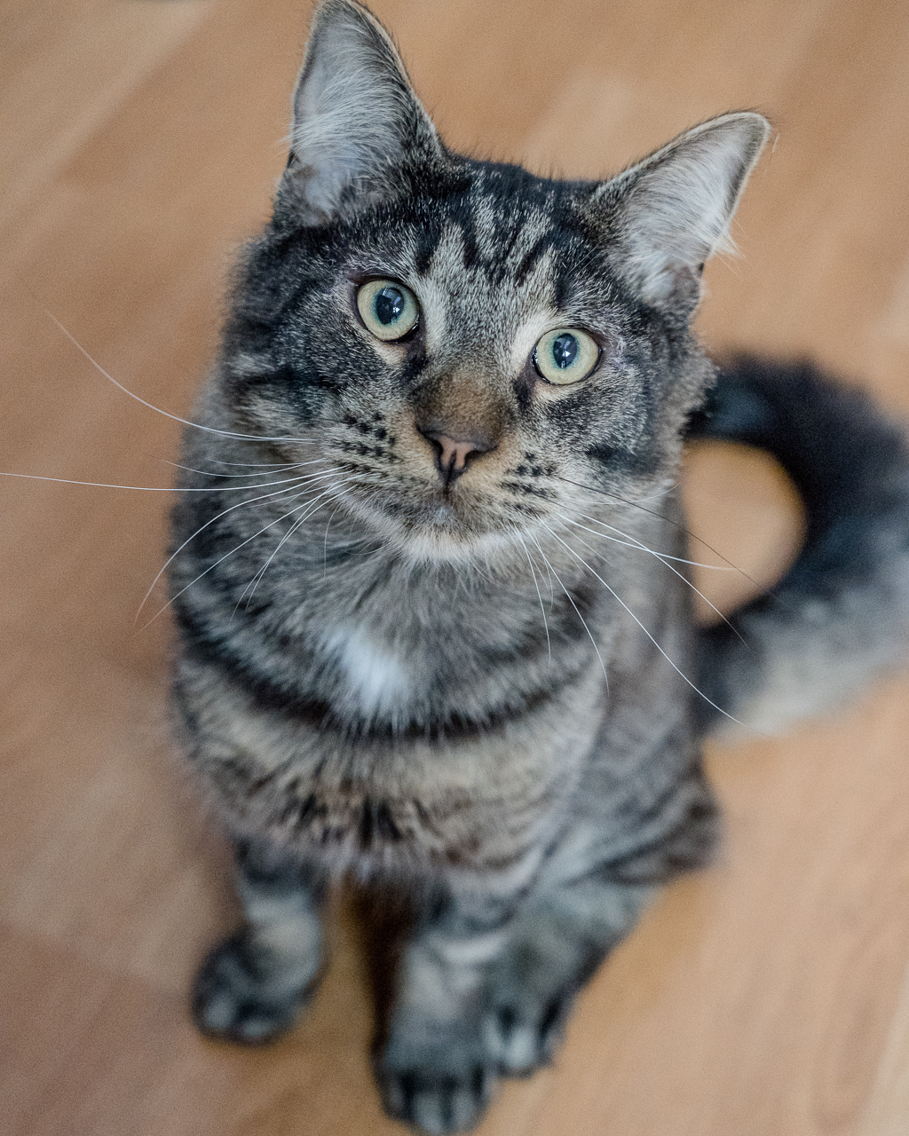 Photo of Percy