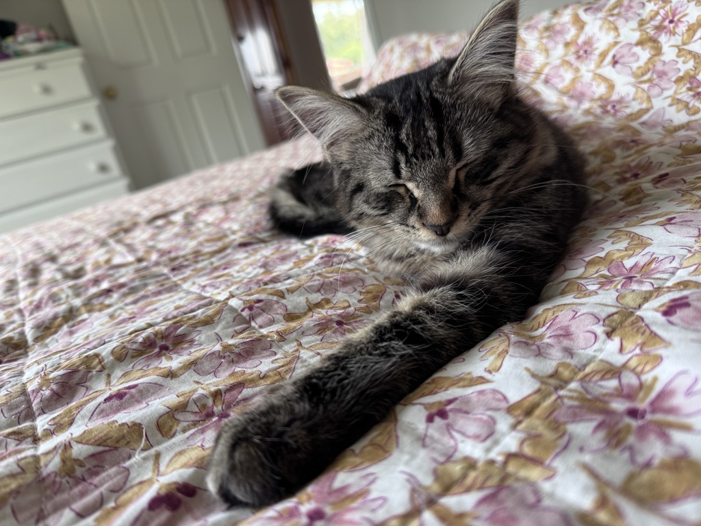 Nimbus, photo 5