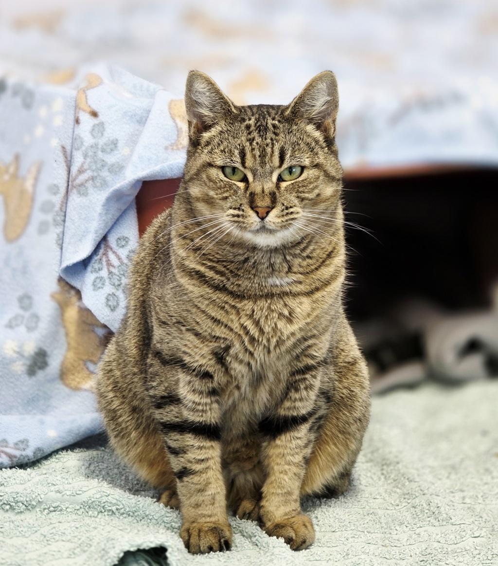 Photo of Bonnie
