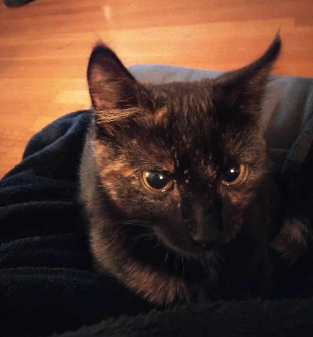 Photo of Whitney