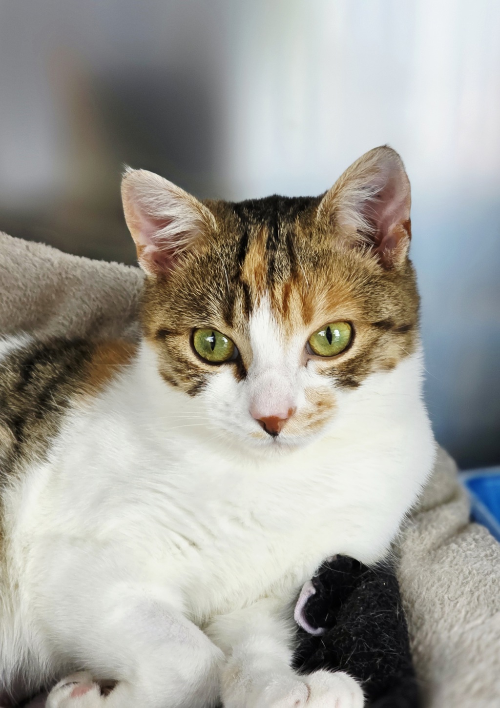 Photo of Greta