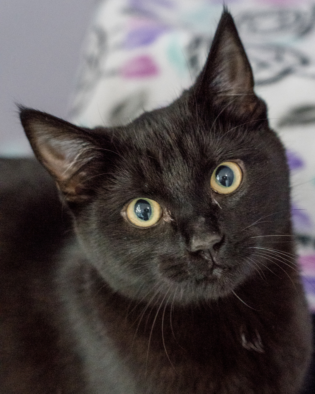 Photo of Betty