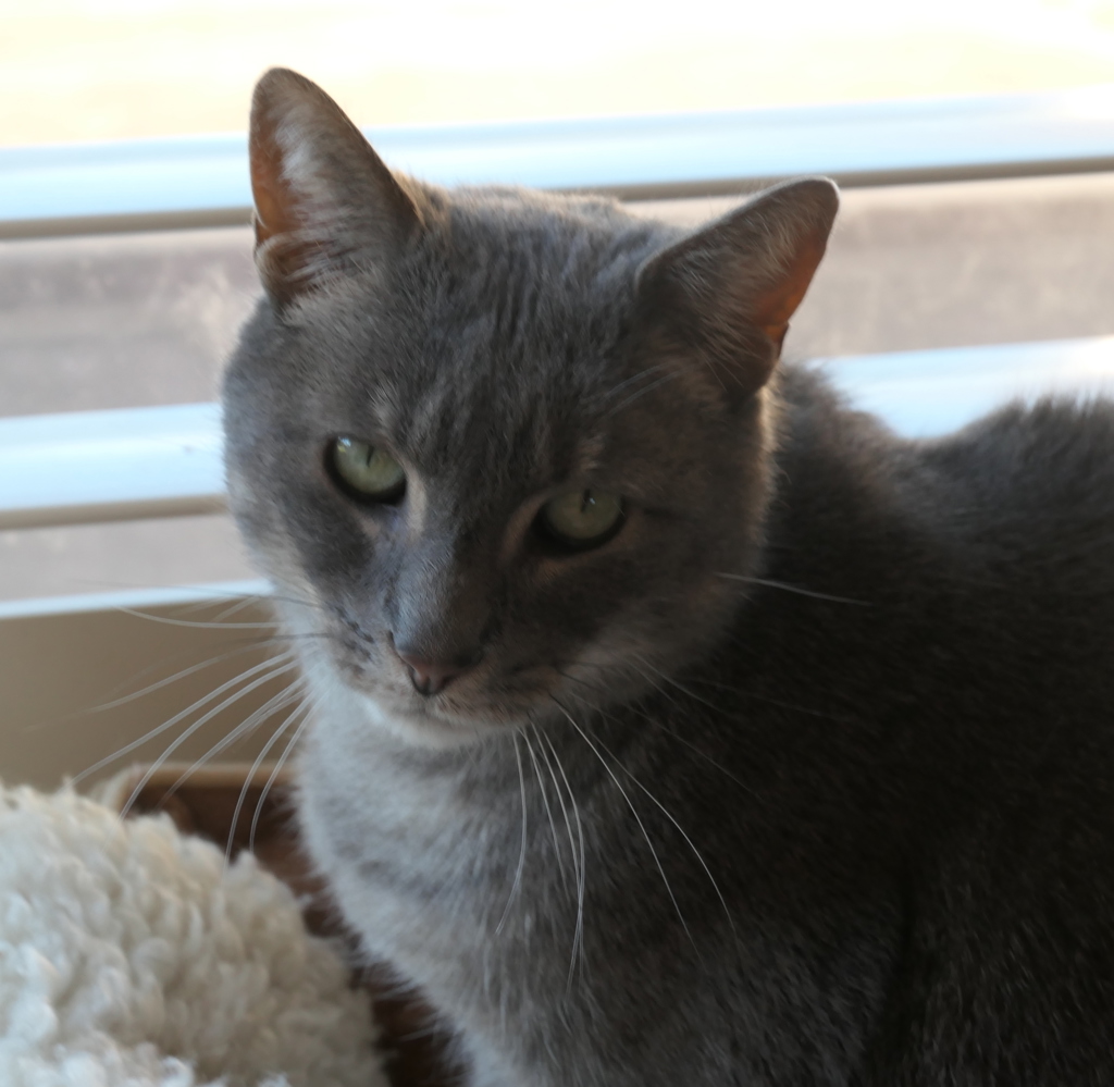 Photo of Theo