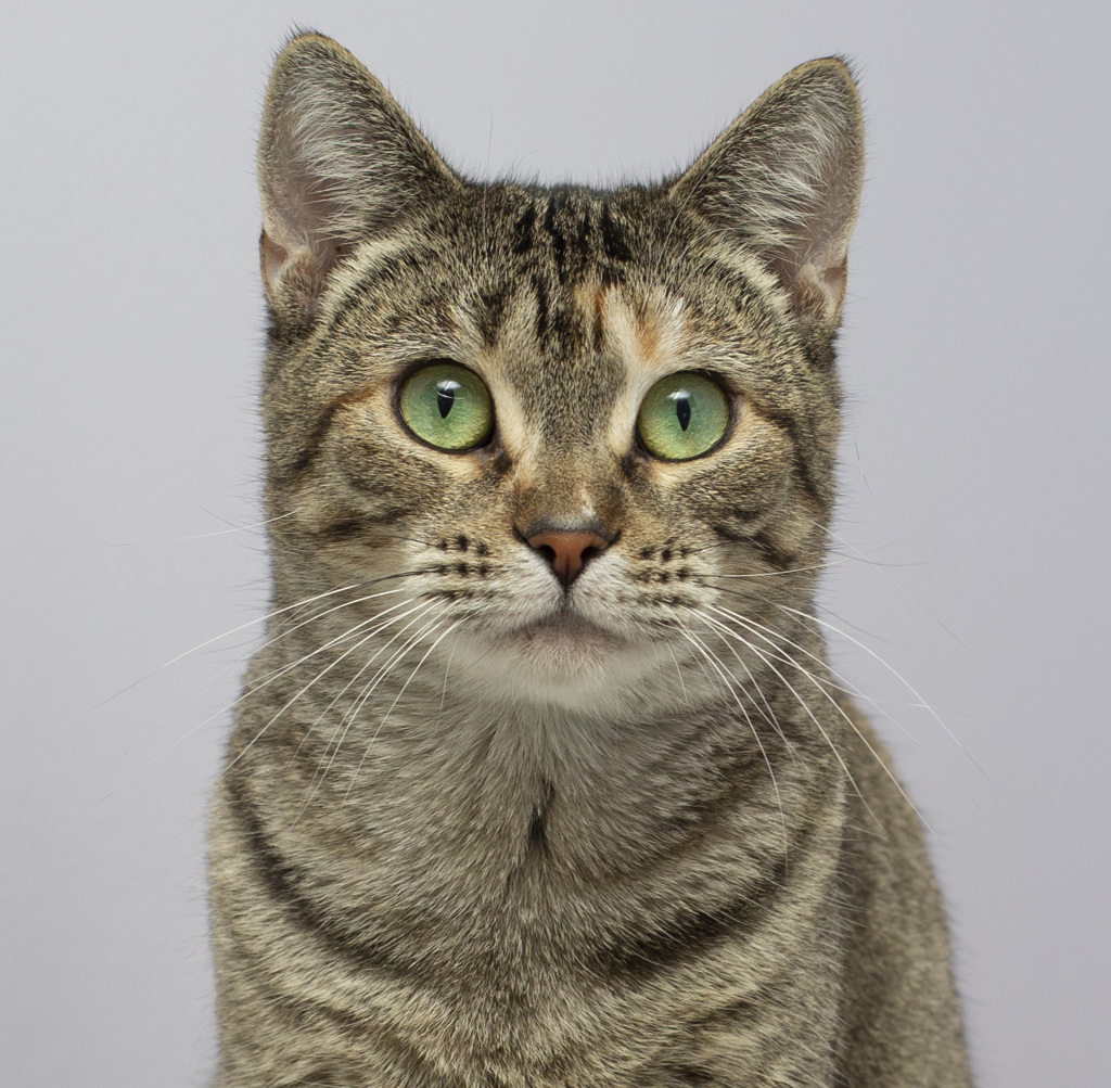 Photo of Lucille