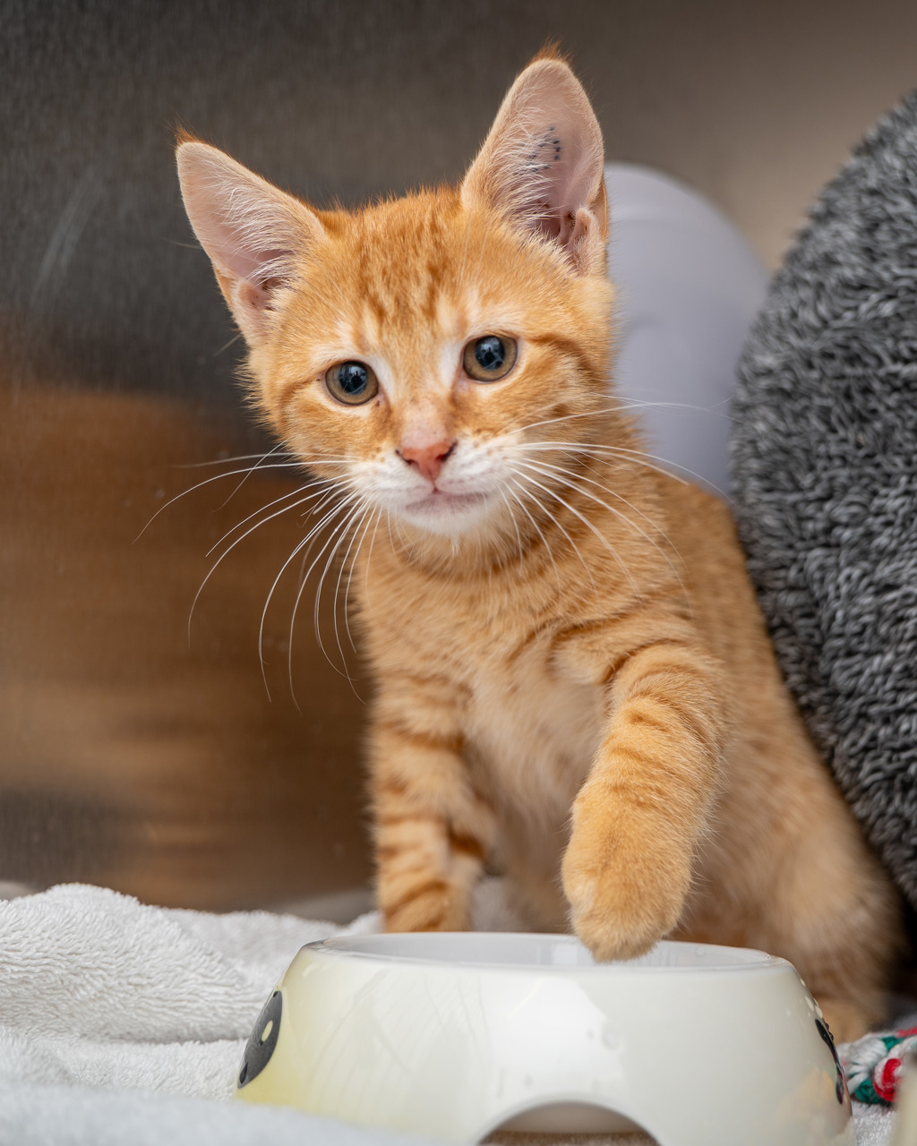 Photo of Baby