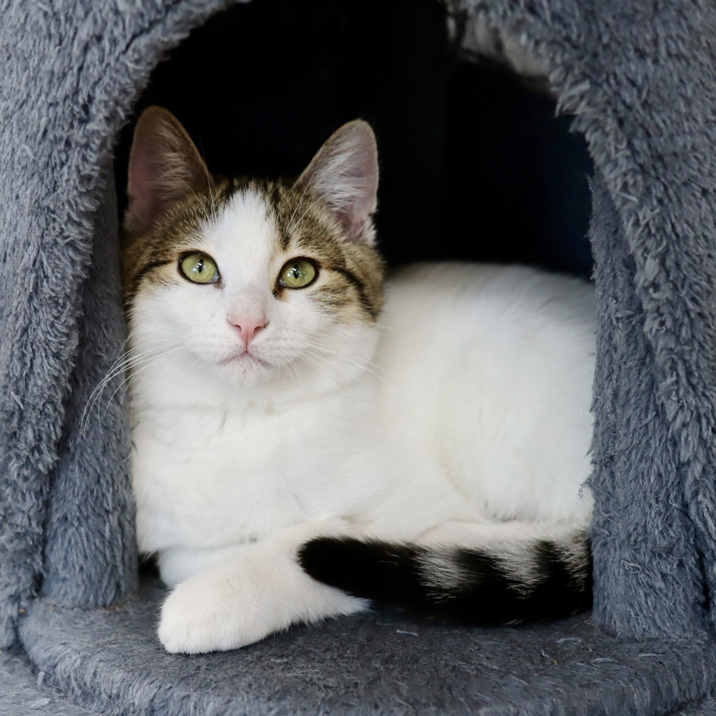 Photo of Fry
