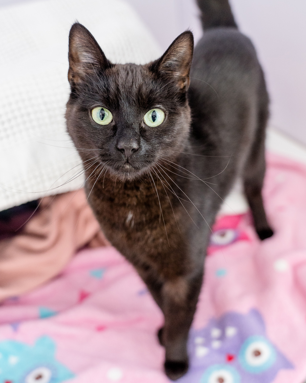 Photo of Bruce