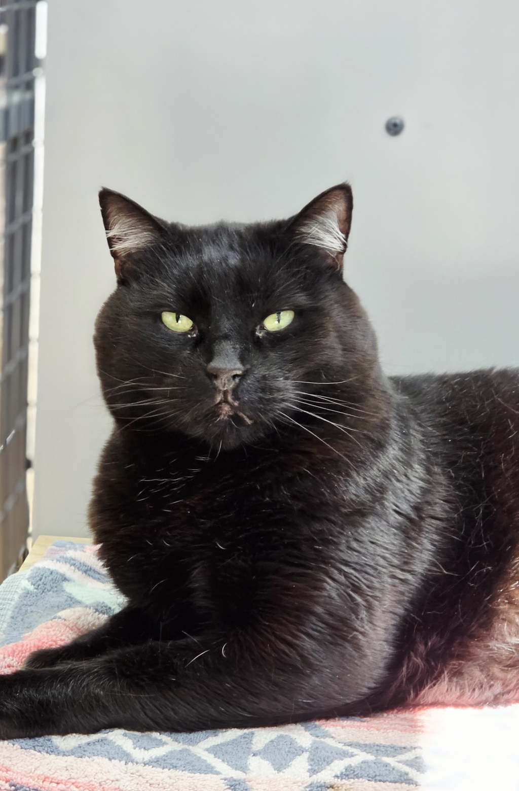 Photo of Cedric 