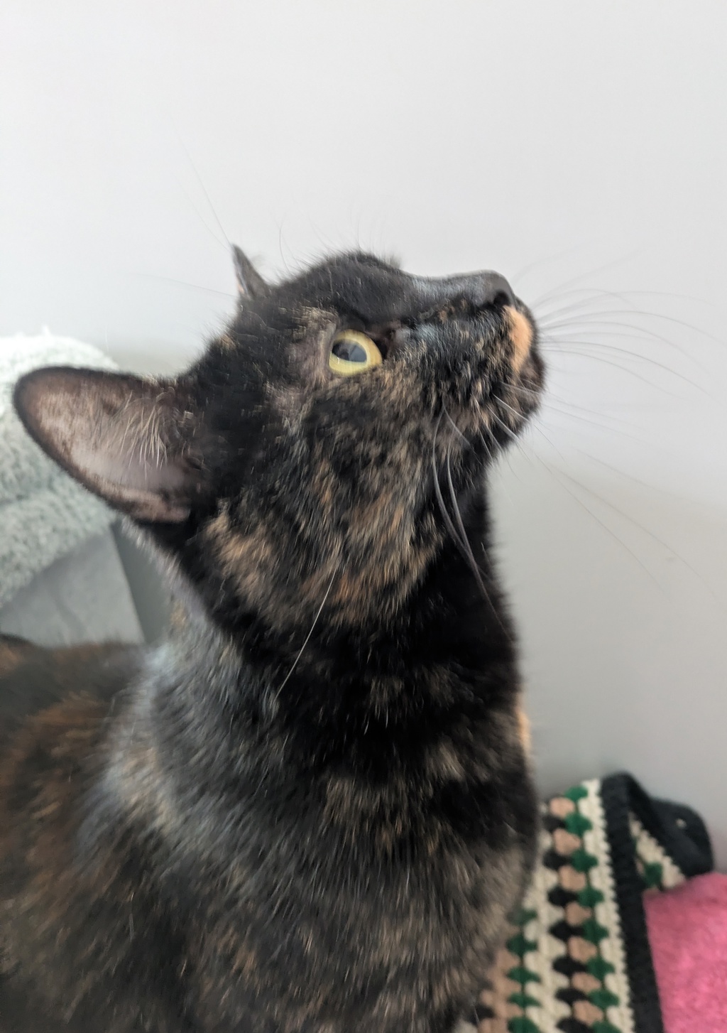 Photo of Popcorn