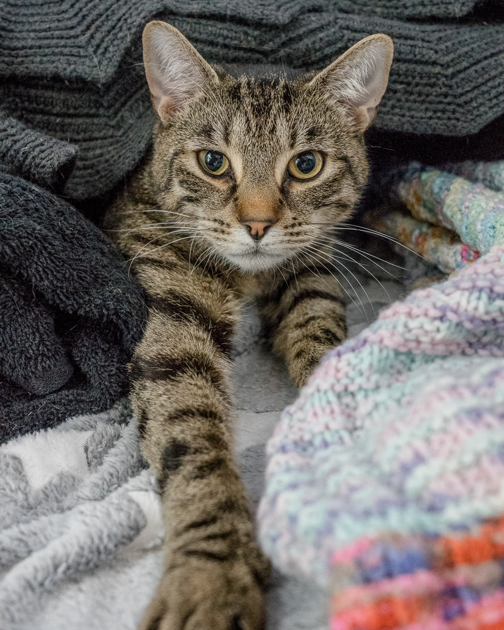 Photo of Floyd