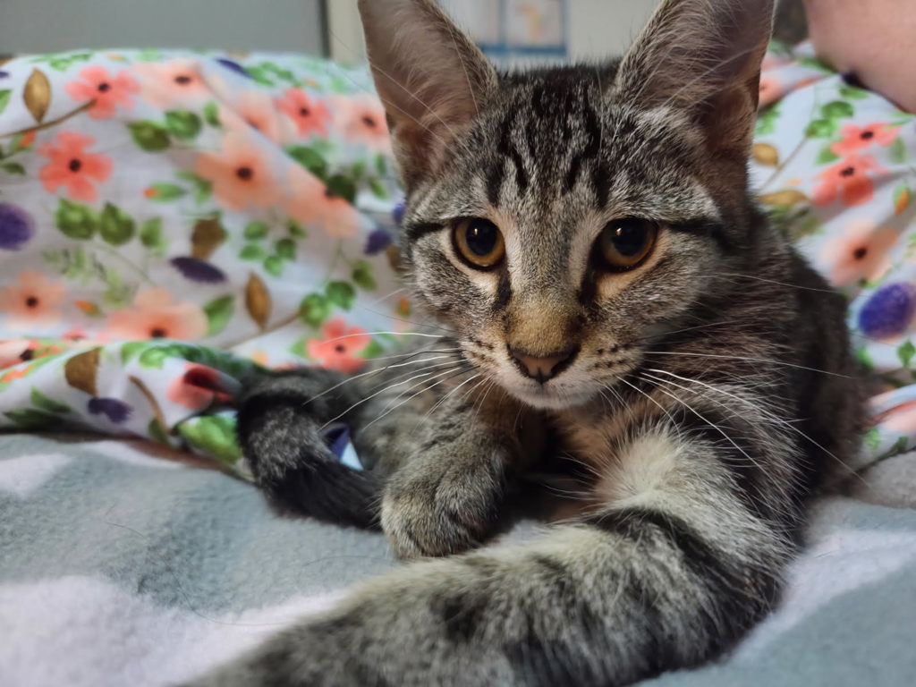 Photo of Evelyn