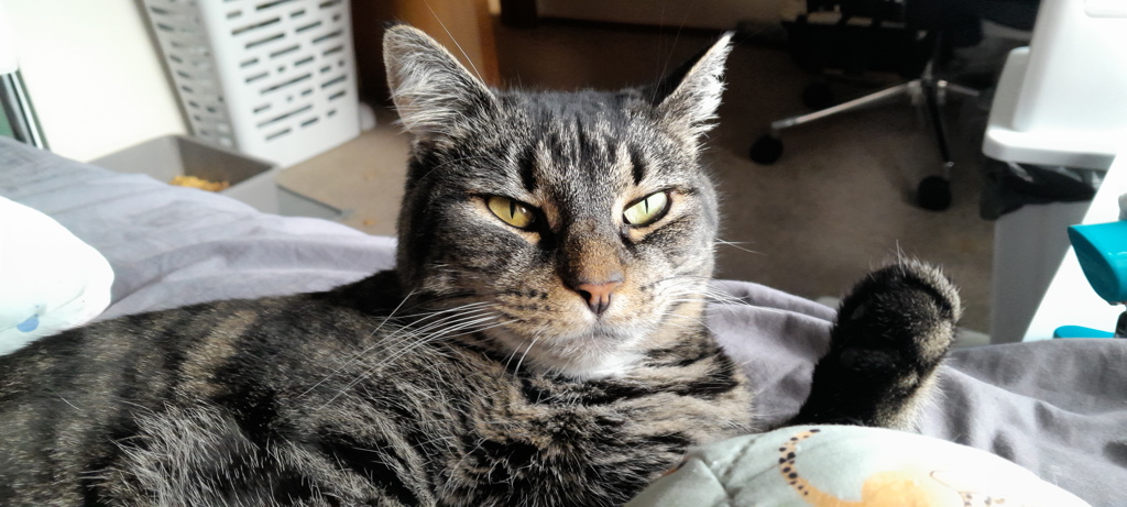 Photo of Breeze